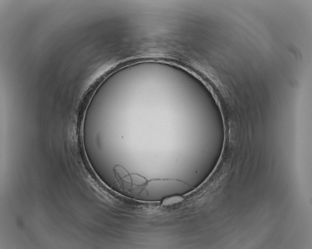 X0000112721452200909031407