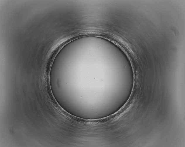 X0000112721453200909031407