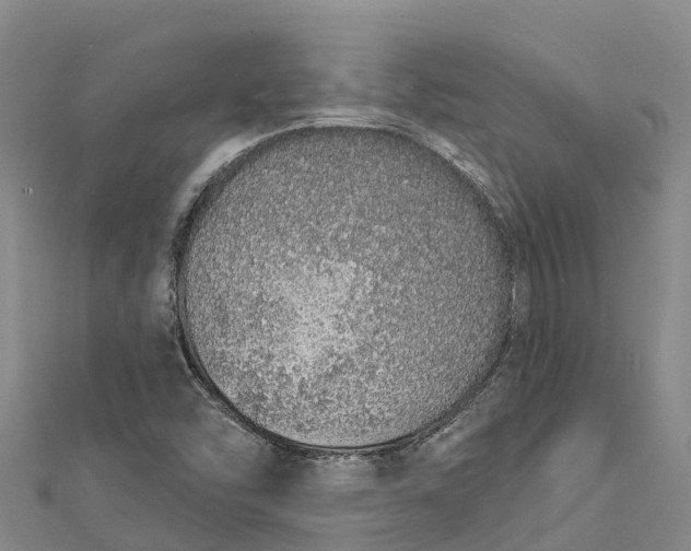 X0000112721454200909031407