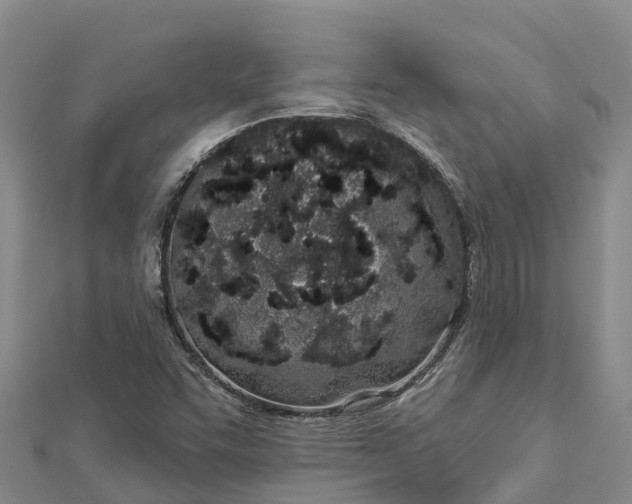 X0000112721455200909031407