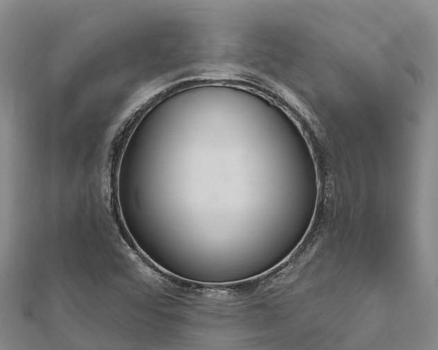 X0000112721456200909031407