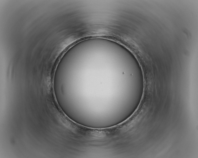 X0000112721457200909031407