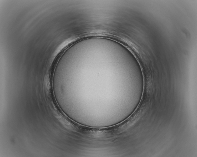 X0000112721458200909031407