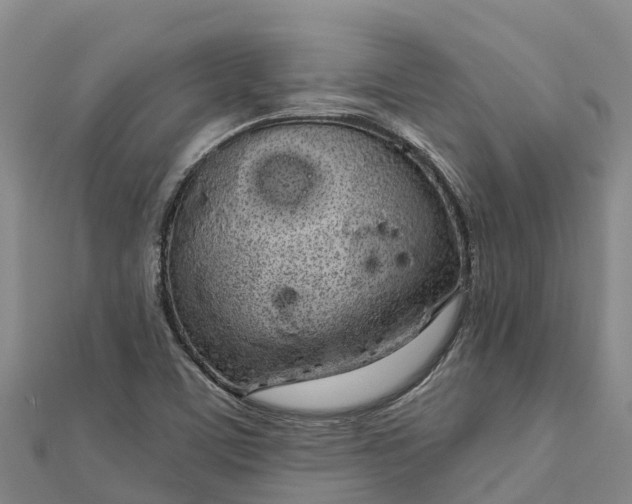 X0000112721459200909031407