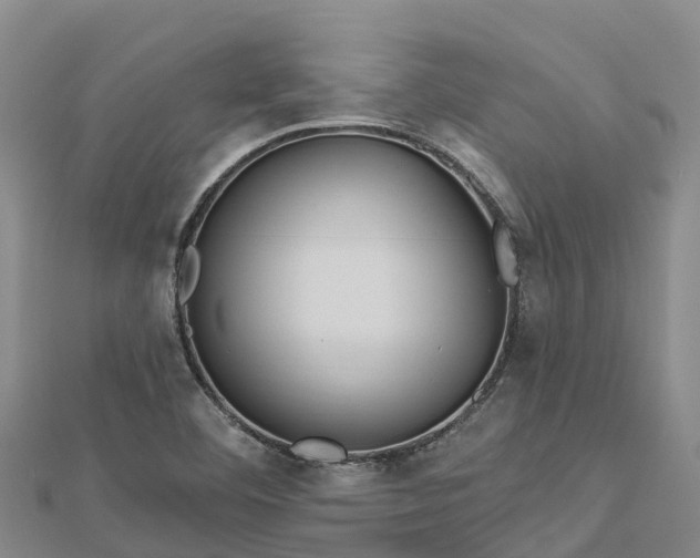 X0000112721460200909031407