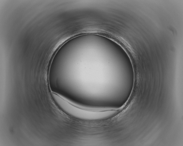 X0000112721465200909031407