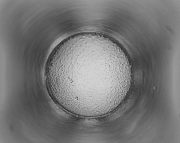 X0000112721466200909031407