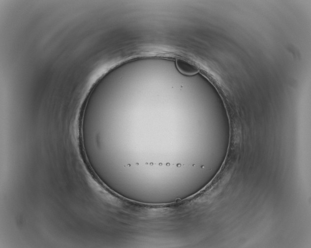 X0000112721471200909031407