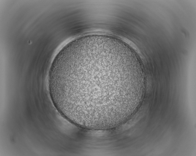 X0000112721474200909031407