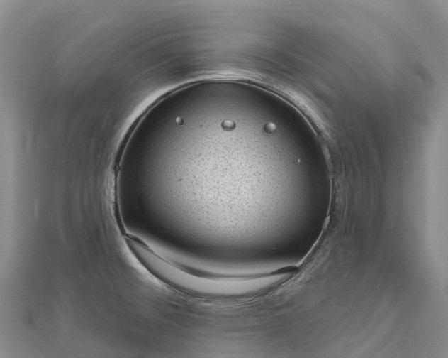 X0000112721476200909031406