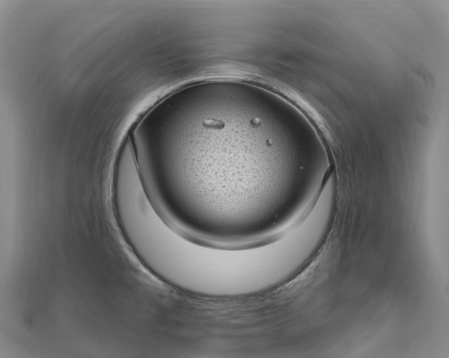 X0000112721477200909031406