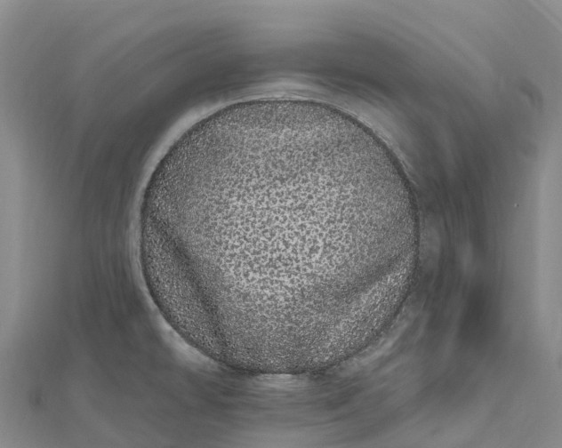 X0000112721478200909031406