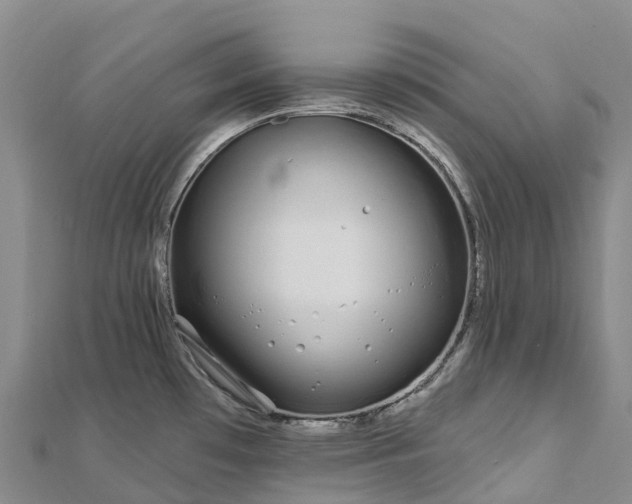 X0000112721481200909031406