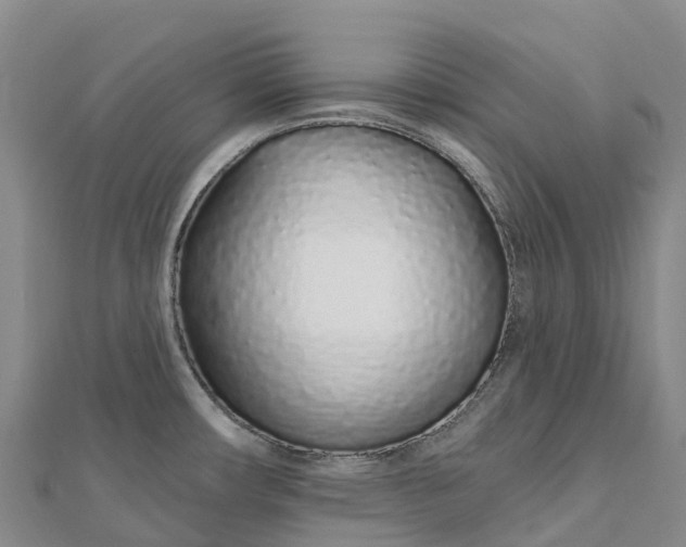 X0000112721482200909031406