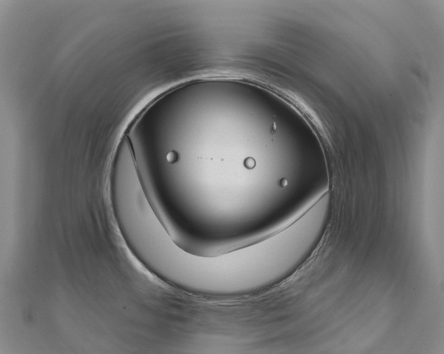 X0000112721484200909031406