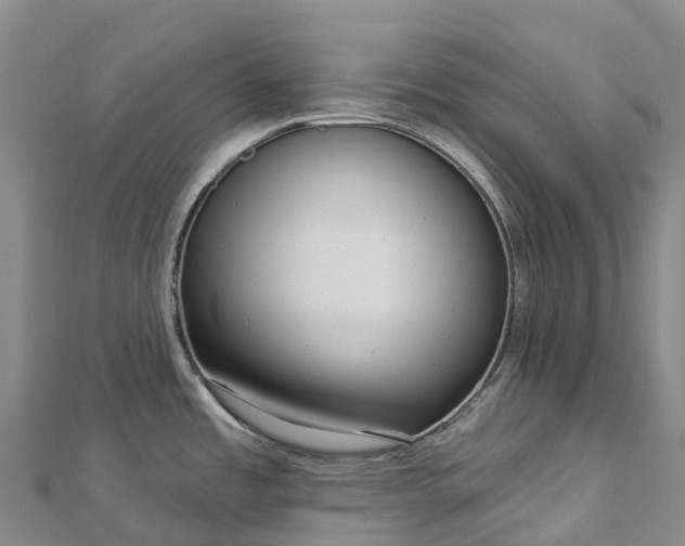 X0000112721485200909031406