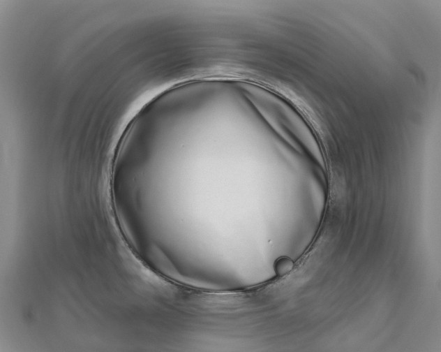 X0000112721486200909031406