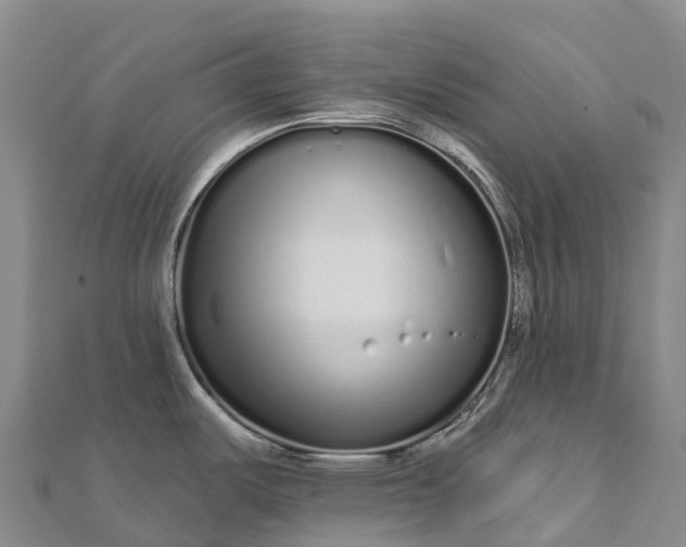 X0000112721487200909031406