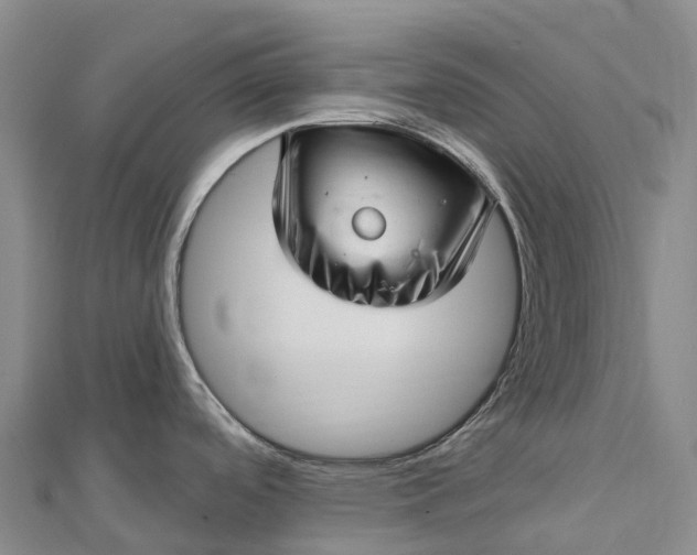 X0000112721488200909031406