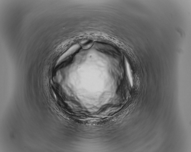 X0000112721489200909031406