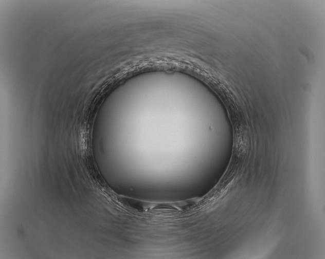 X0000112721490200909031406