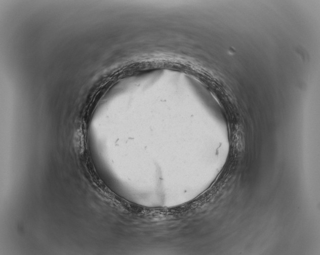 X0000112721493200909031406