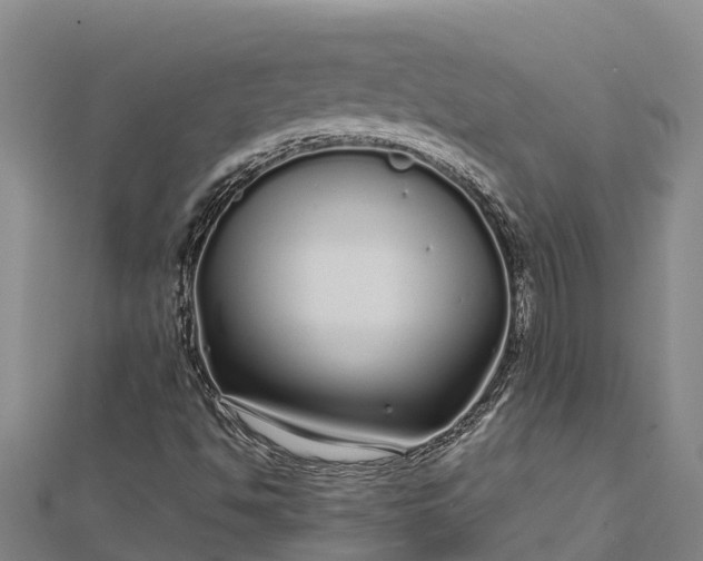 X0000112721494200909031406