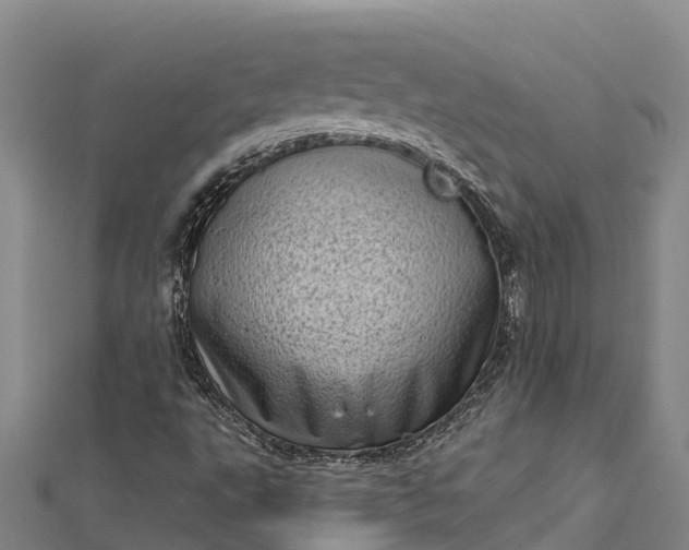 X0000112721495200909031406