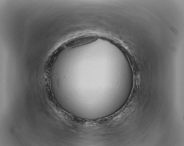 X0000112721496200909031406