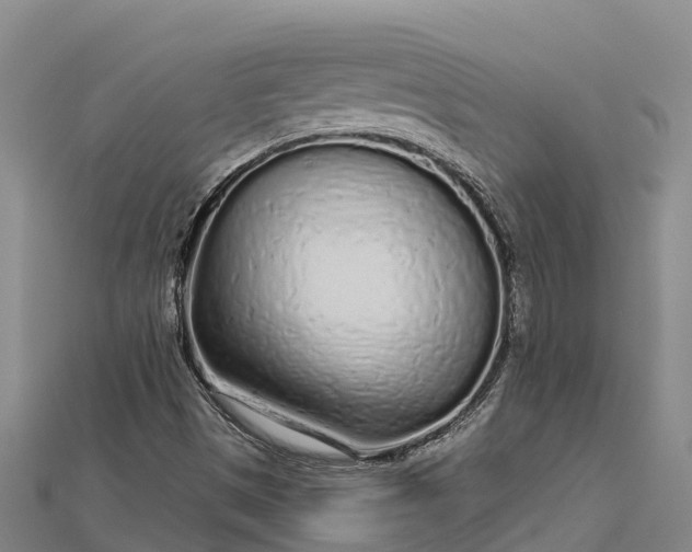 X0000112721497200909031406