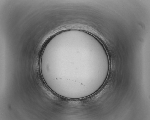 X0000112721498200909031406