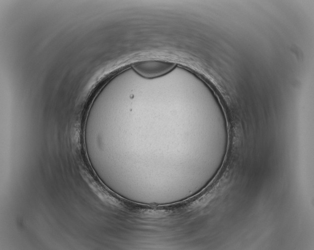 X0000112721499200909031406