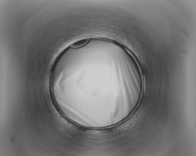 X0000112721500200909031406