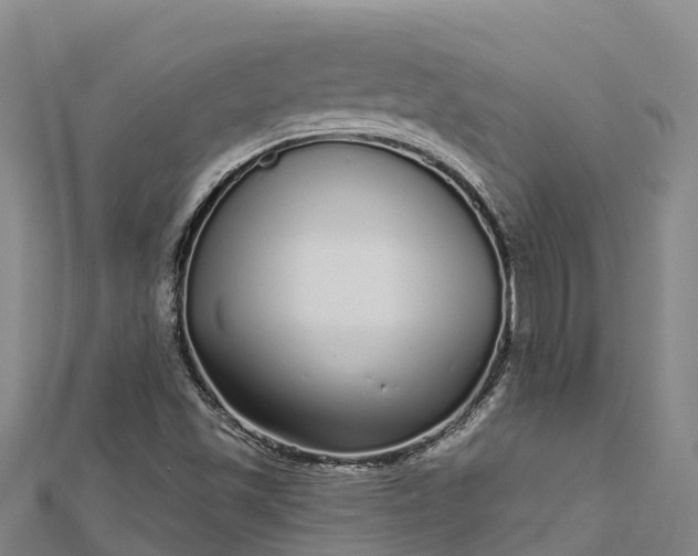 X0000112721501200909031406