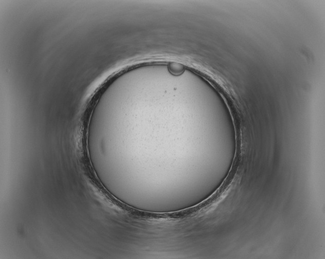 X0000112721502200909031406