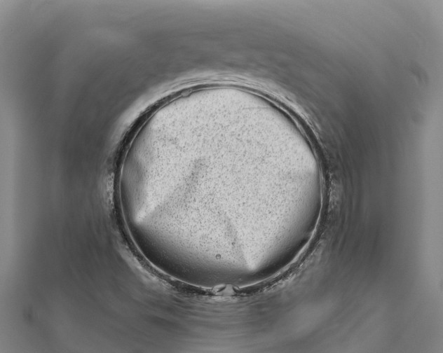 X0000112721503200909031406