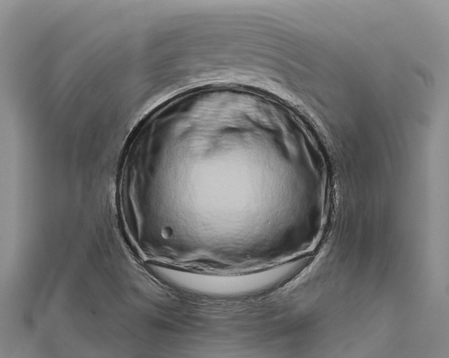 X0000112721505200909031406