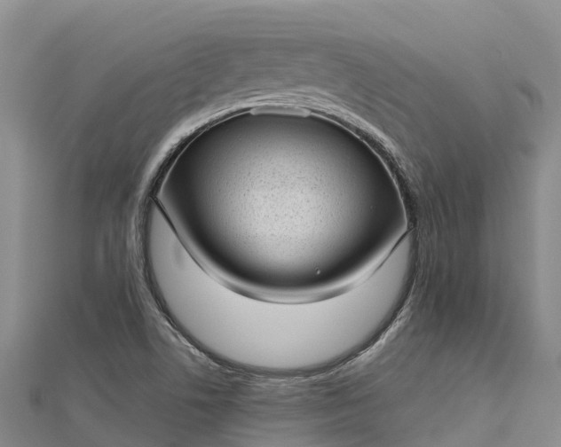 X0000112721506200909031406