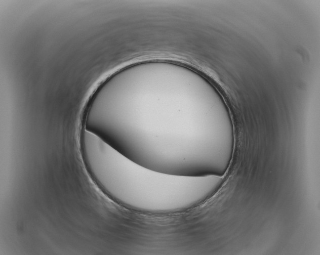 X0000112721508200909031406