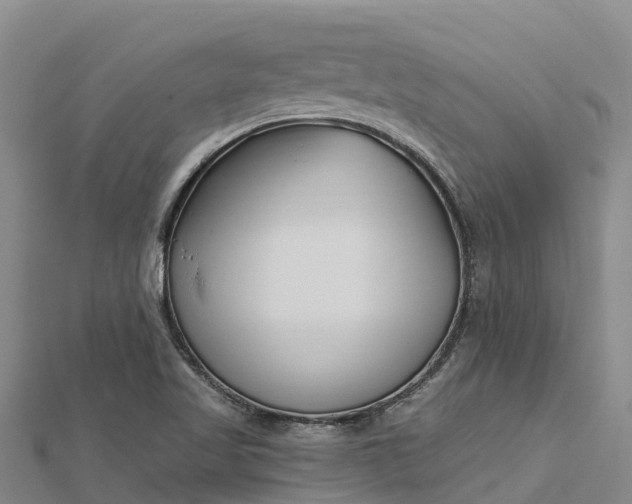 X0000112721509200909031406