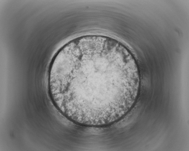 X0000112721514200909031406