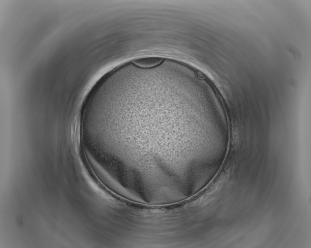 X0000112721515200909031406