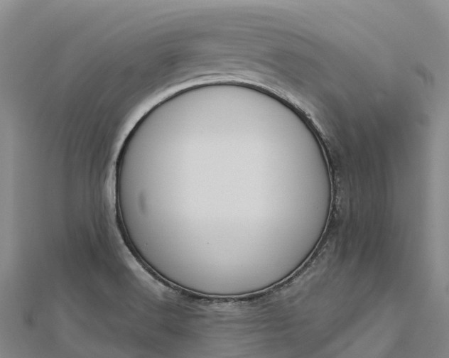 X0000112721516200909031406