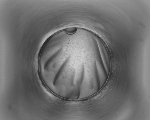 X0000112721519200909031406