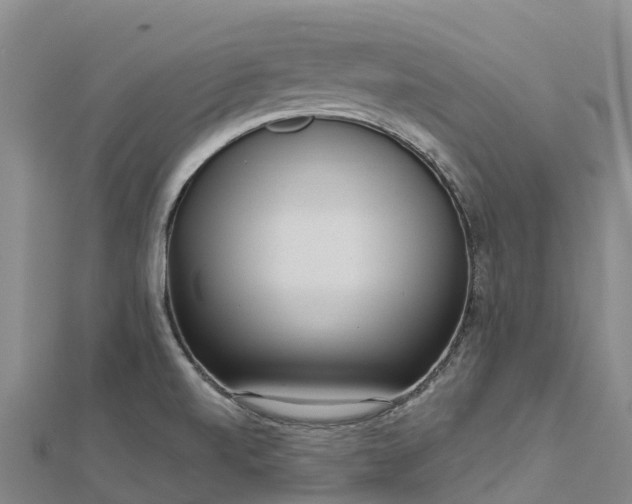 X0000112721520200909031406