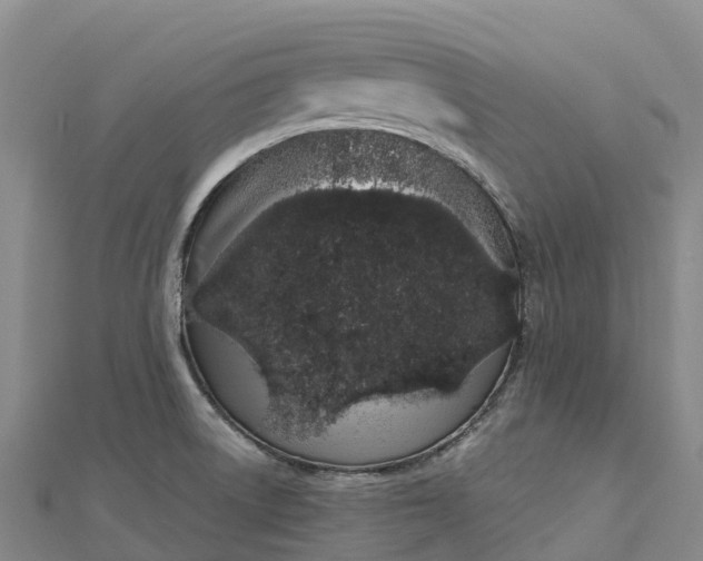 X0000112721522200909031406