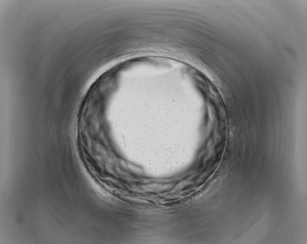 X0000112721523200909031406