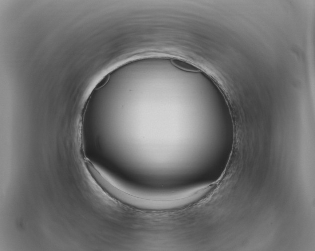 X0000112721524200909031406