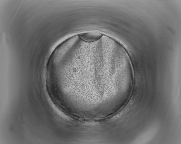 X0000112721526200909031406