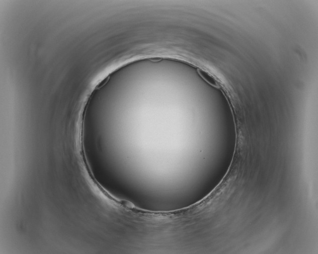 X0000112721528200909031406